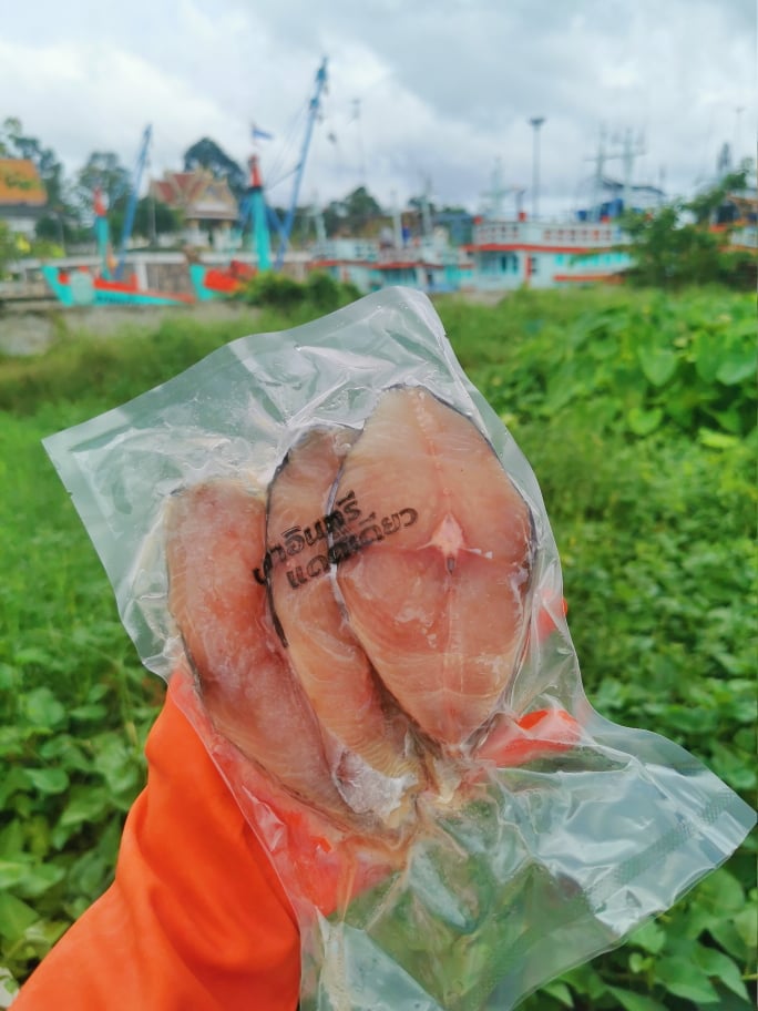 ปลาอินทรีย์ แดดเดียว  (1 แพ็ค 3 ชิ้น ) ขนาด 350-400g  คัดเกรดพรีเมี่ยม จัดส่งทุกจังหวัดทั่วประเทศ