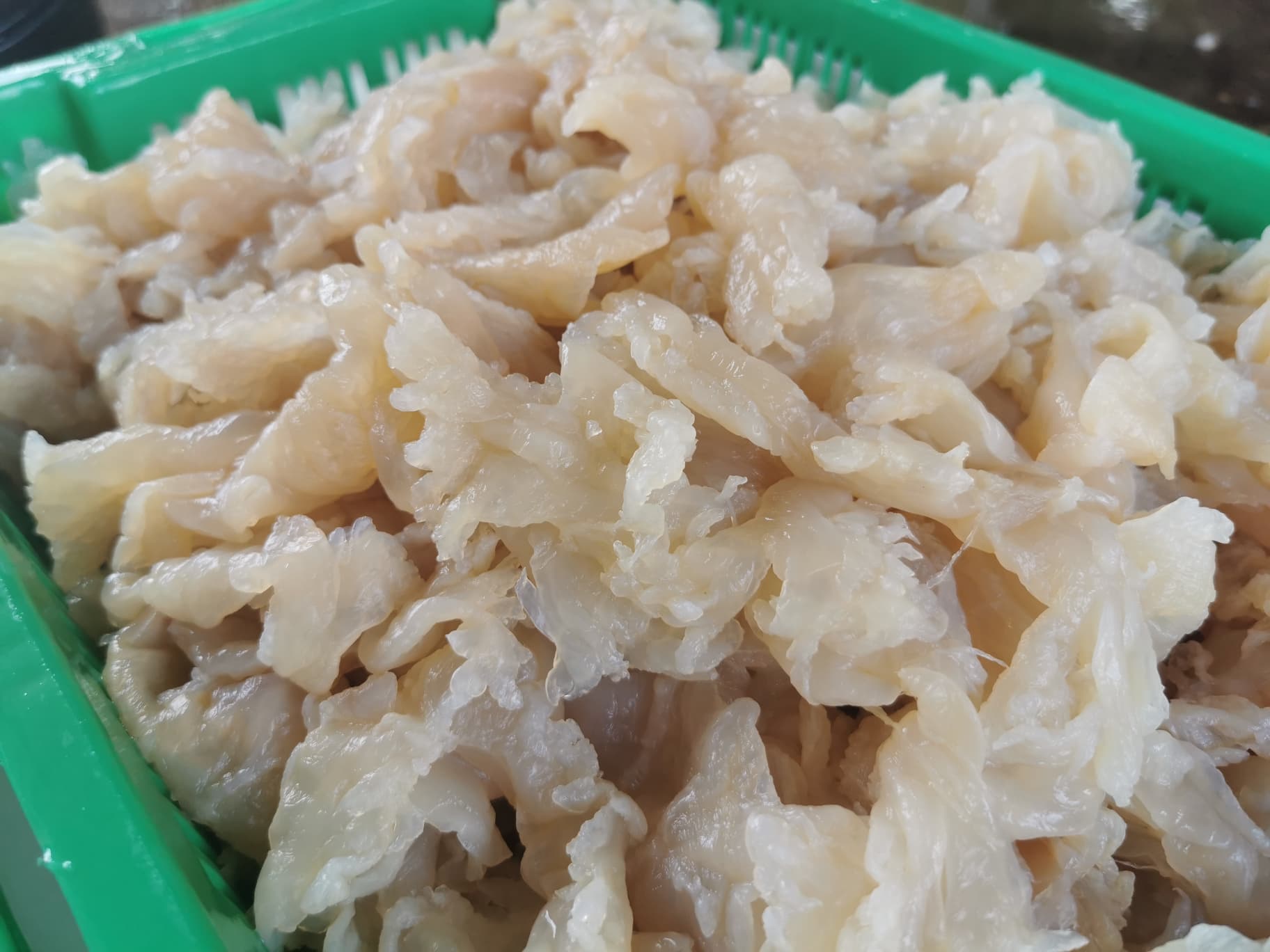 กระพรุนทะเล (แบบจืด) น้ำหนักขนาดบรรจุ 1,000 กรัม (1 kg.)