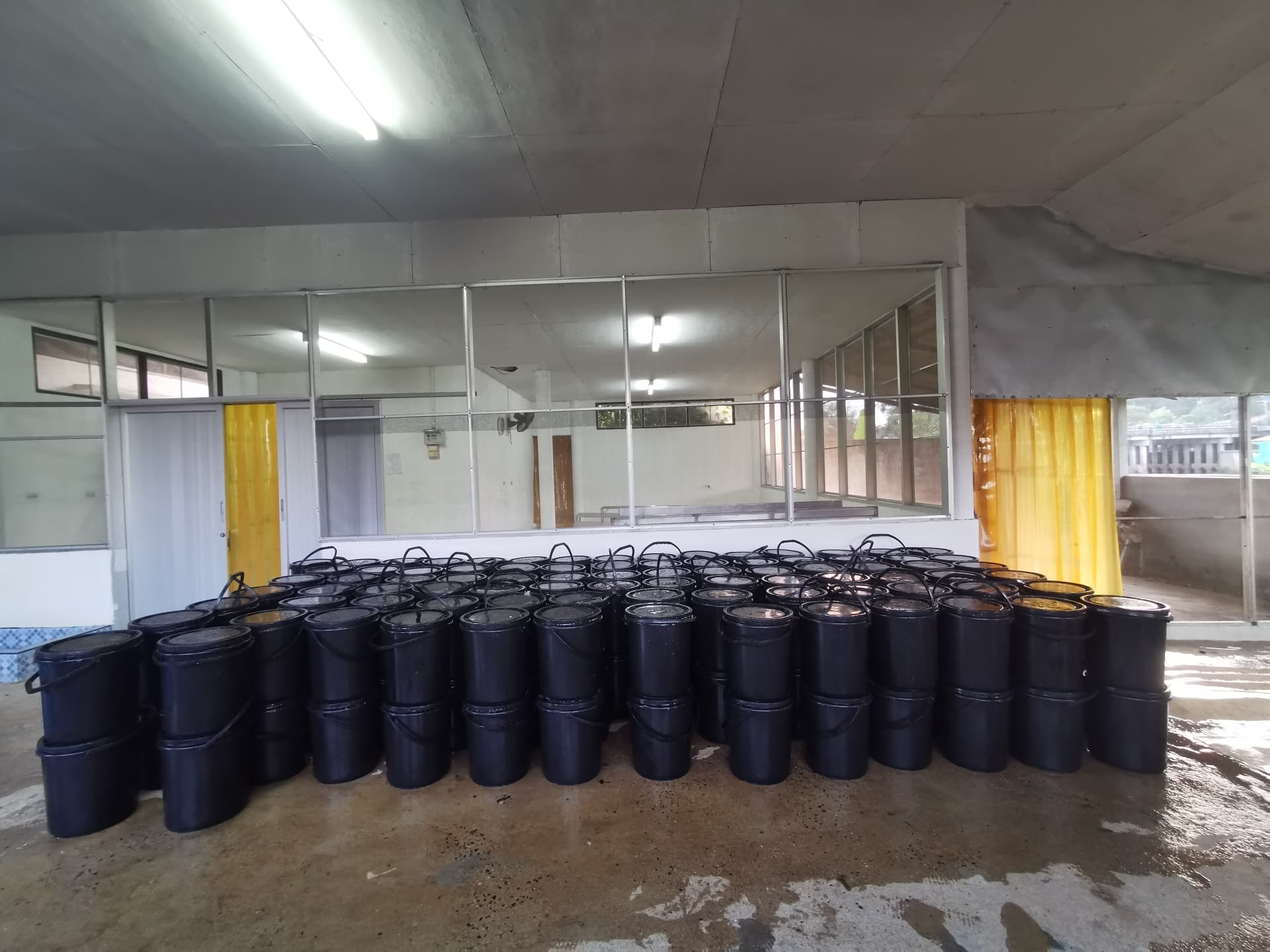 กระพรุนทะเล (แบบจืด) น้ำหนักขนาดบรรจุ 1,000 กรัม (1 kg.)