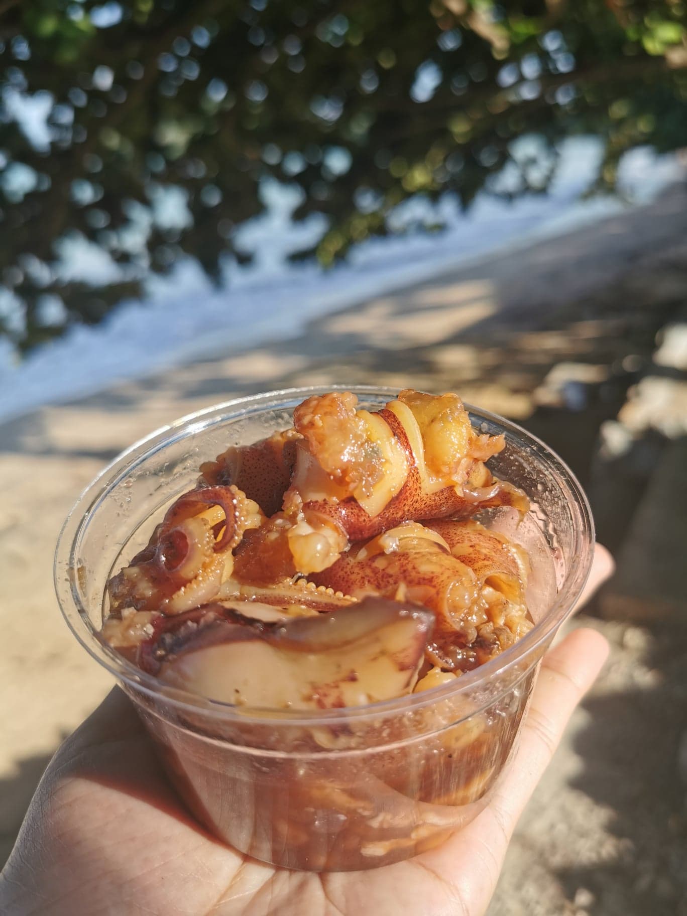 หมึกไข่ต้มหวาน ขนาด 90-250 g หมึกไข่แน่นทุกตัว ทำสดใหม่ทุกวัน