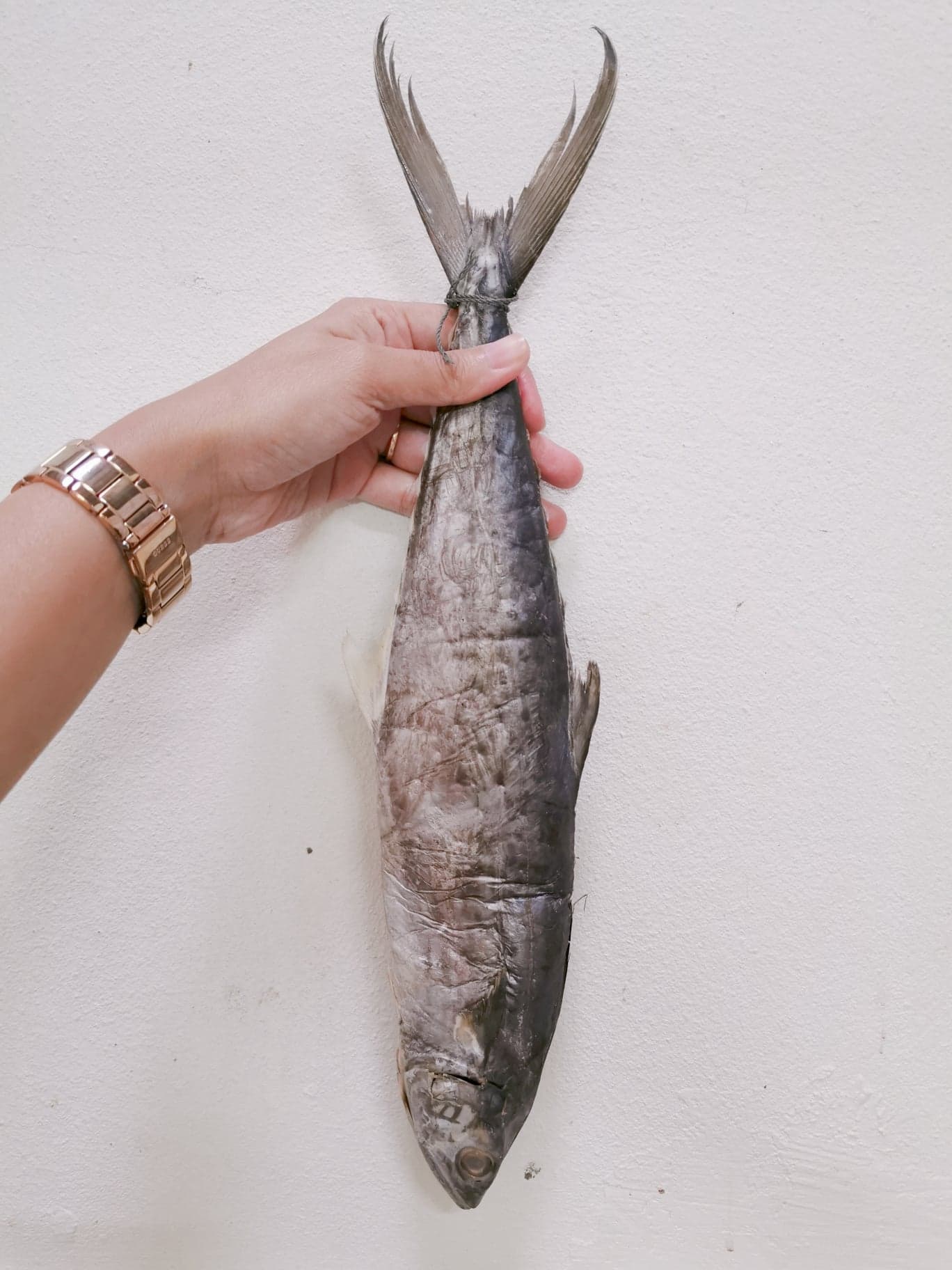 ปลาอินทรีย์เค็ม​ ทั้งตัว (ขนาด 300-350g) หมักและตากบนเรือประมง คัดพิเศษส่งออก