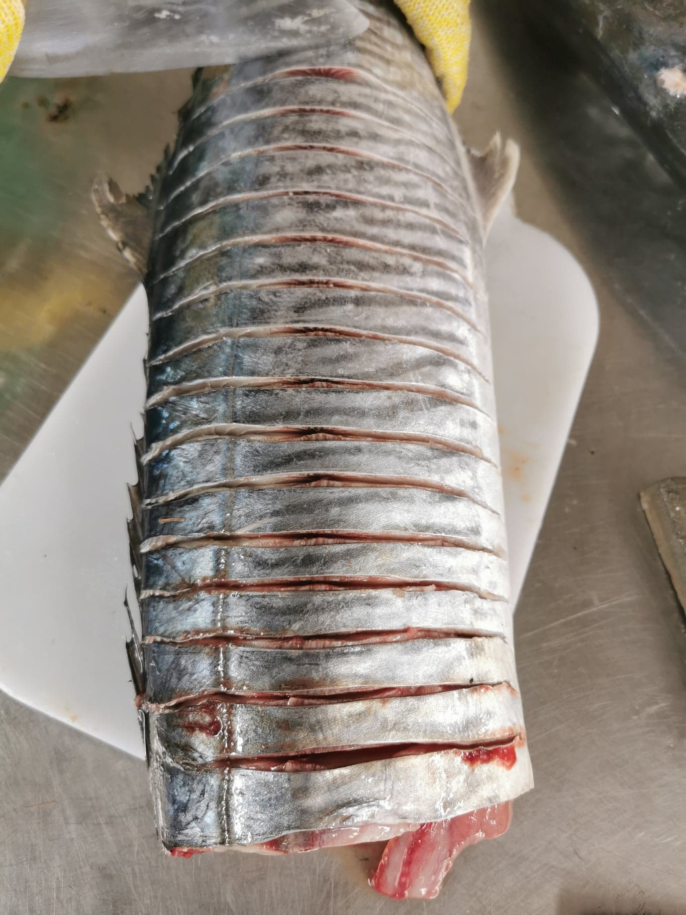 ปลาอินทรีสดหั่นชิ้น ขนาดน้ำหนัก 100 - 120 g / ชิ้น และ น้ำหนัก 150 - 200​ g / ชิ้น