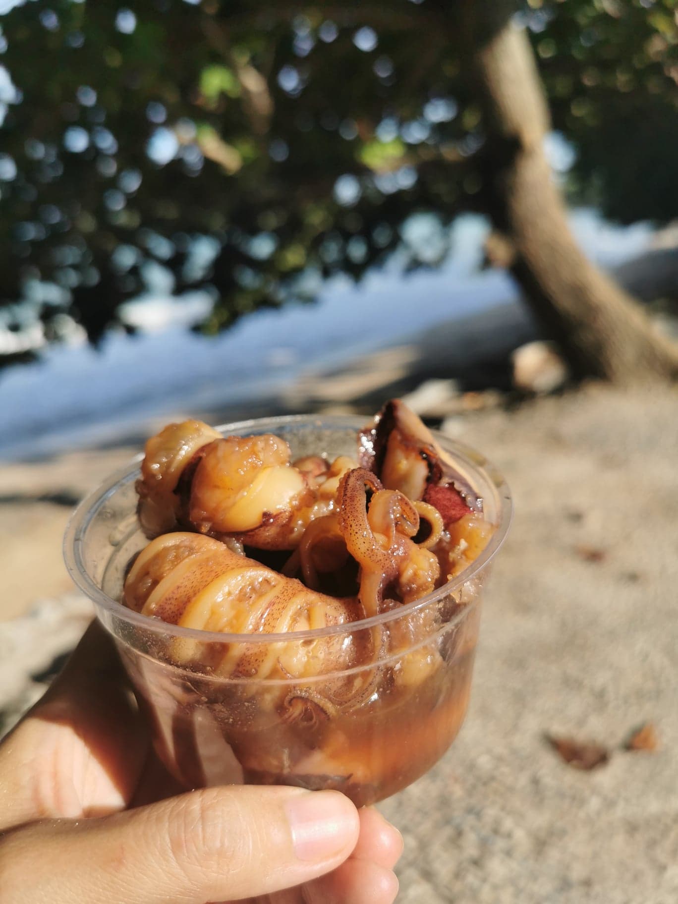 หมึกไข่ต้มหวาน ขนาด 90-250 g หมึกไข่แน่นทุกตัว ทำสดใหม่ทุกวัน