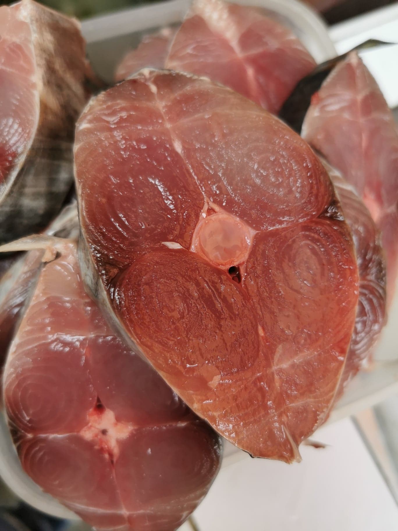 ปลาอินทรีสดหั่นชิ้น ขนาดน้ำหนัก 100 - 120 g / ชิ้น และ น้ำหนัก 150 - 200​ g / ชิ้น